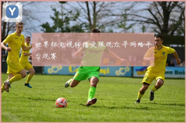 世界杯电视转播受限观众寻网络平台观赛