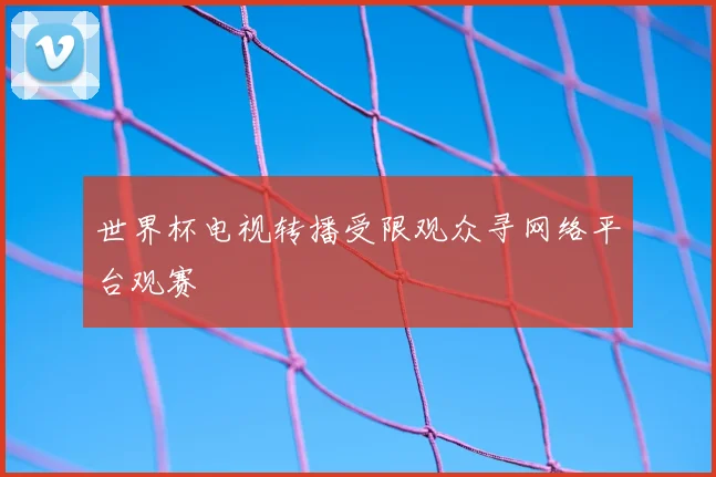 世界杯电视转播受限观众寻网络平台观赛