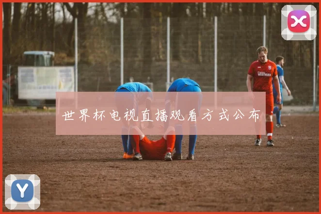 世界杯电视直播观看方式公布