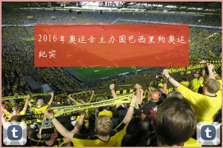2016年奥运会主办国巴西里约奥运纪实