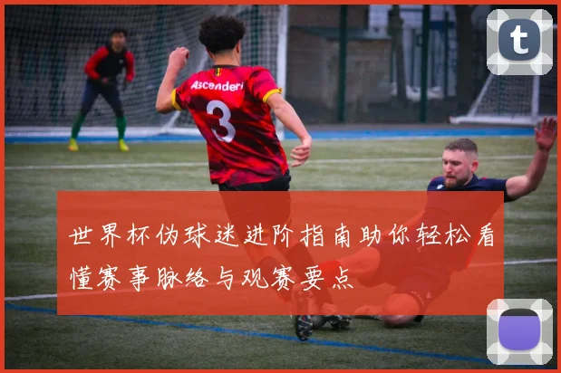 世界杯伪球迷进阶指南助你轻松看懂赛事脉络与观赛要点