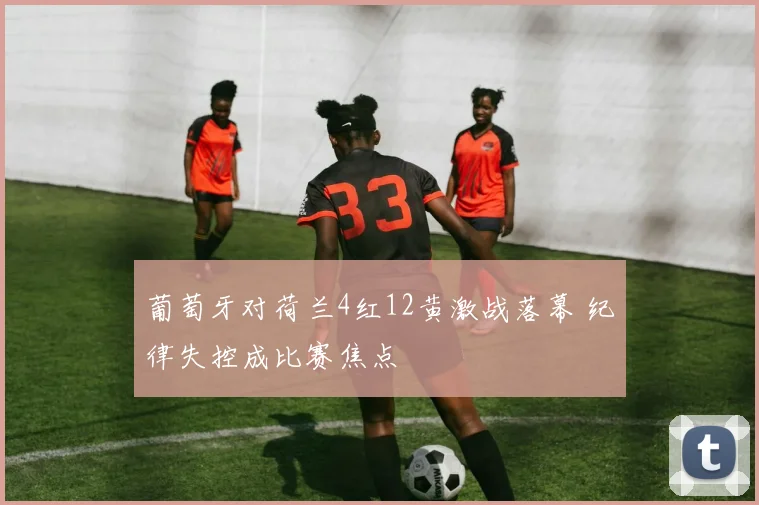 葡萄牙对荷兰4红12黄激战落幕 纪律失控成比赛焦点